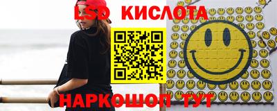стаф Донской