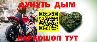 стаф Донской