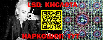 стаф Донской