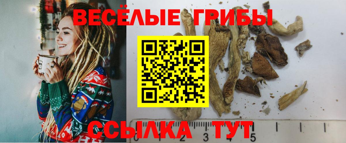 Псилоцибиновые грибы мухоморы Тимашёвск